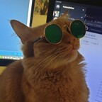Mantecado SysAdmin